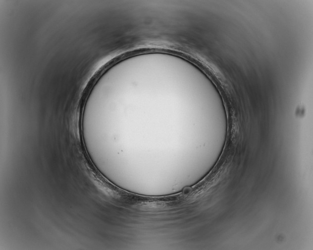 X0000100191272200806131159