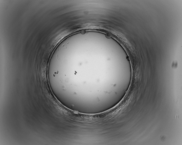 X0000100191273200806131159