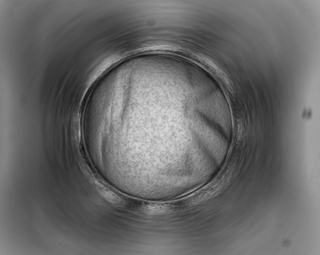 X0000100191274200806131159