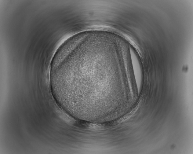 X0000100191275200806131159