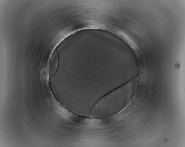 X0000100191276200806131159