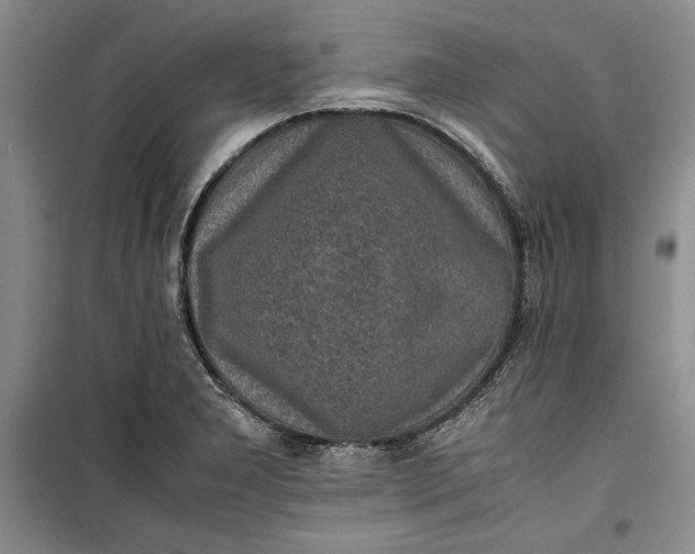 X0000100191277200806131159