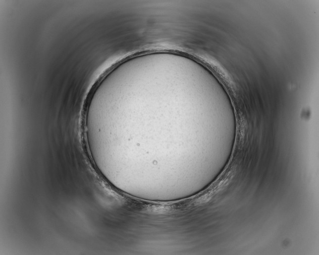 X0000100191278200806131159