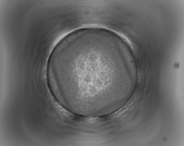 X0000100191279200806131159