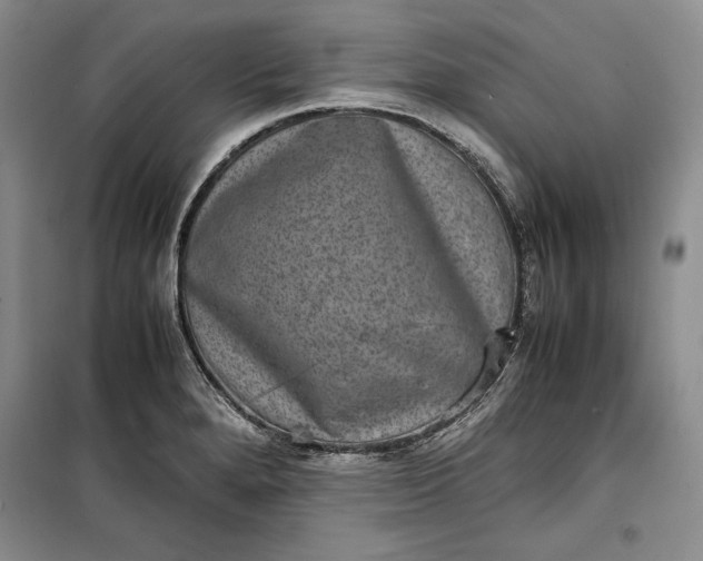 X0000100191280200806131159