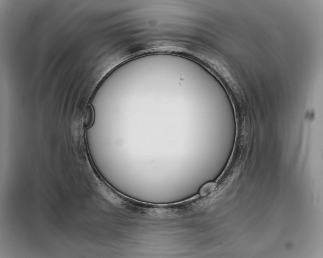 X0000100191281200806131159