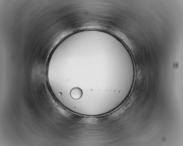 X0000100191282200806131159