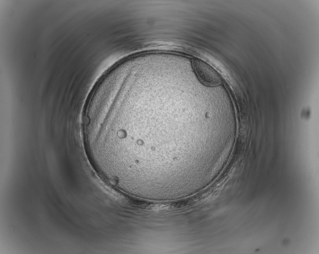 X0000100191283200806131159