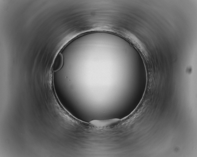 X0000100191284200806131159