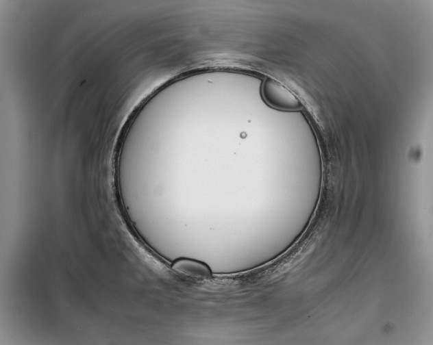 X0000100191285200806131159