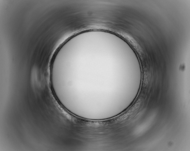 X0000100191286200806131159