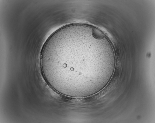 X0000100191287200806131159