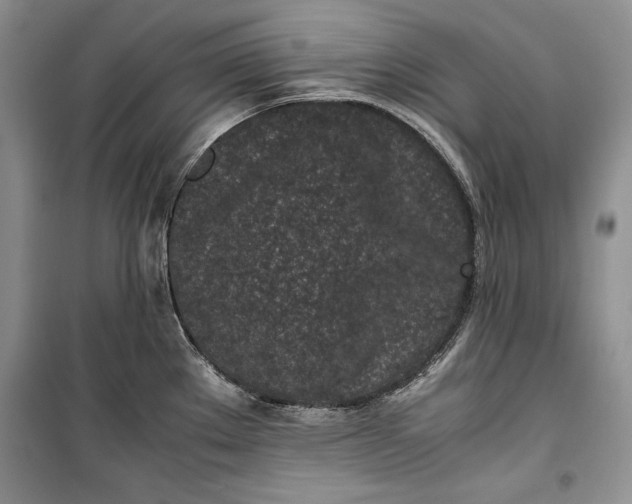 X0000100191289200806131159