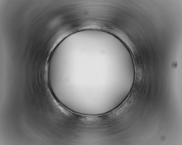 X0000100191290200806131159