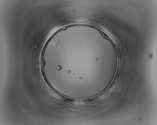 X0000100191291200806131159