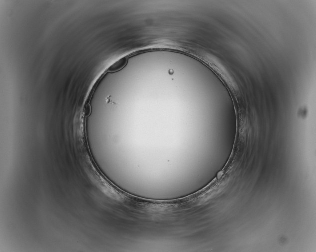 X0000100191292200806131159