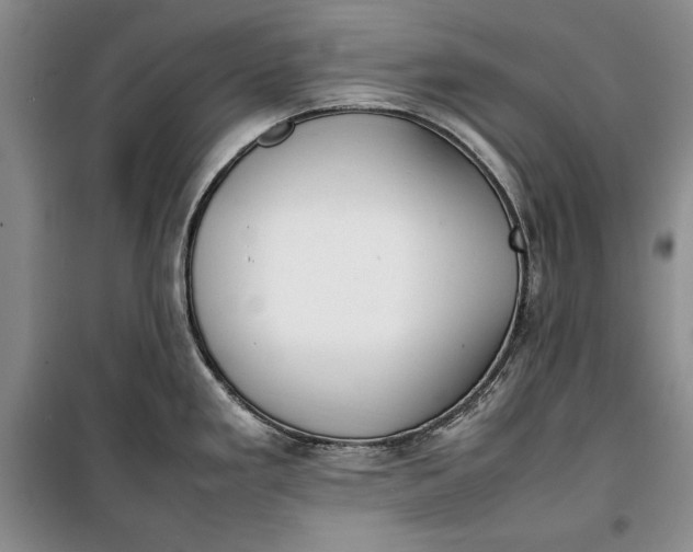 X0000100191293200806131159