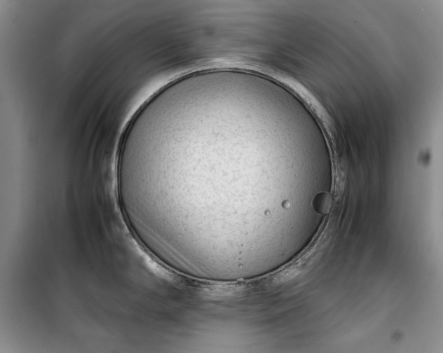 X0000100191294200806131159