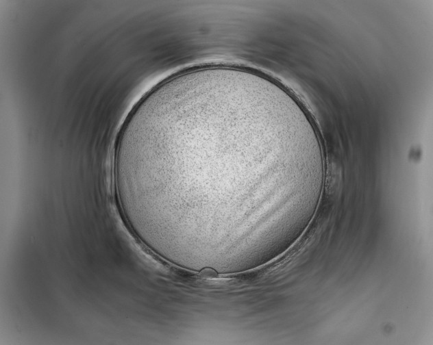 X0000100191295200806131159