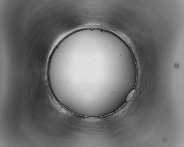 X0000100191296200806131159