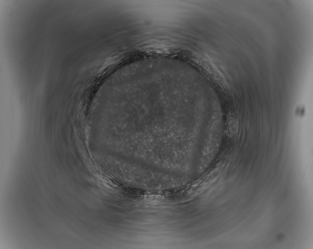 X0000100191297200806131158