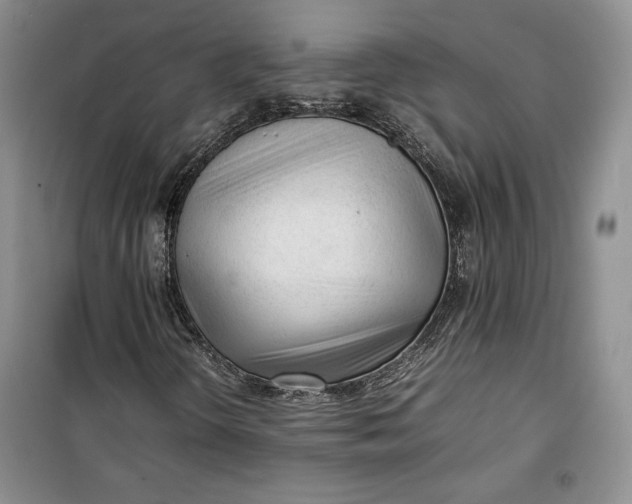 X0000100191298200806131158