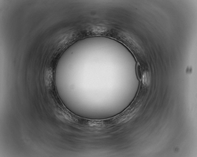 X0000100191299200806131158