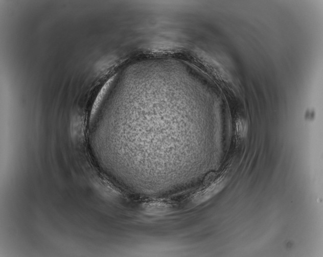 X0000100191300200806131158