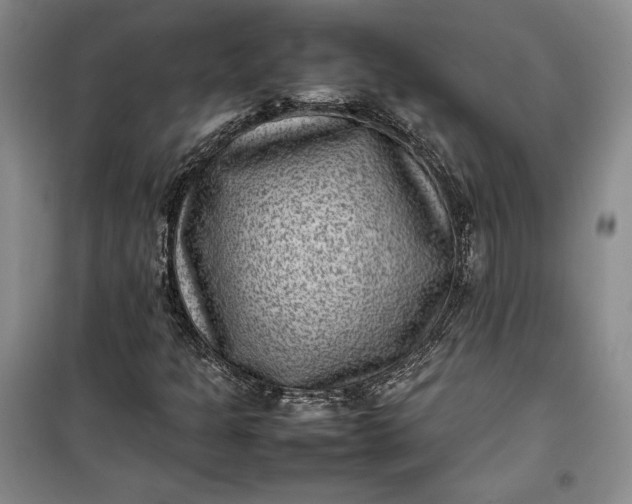 X0000100191301200806131158