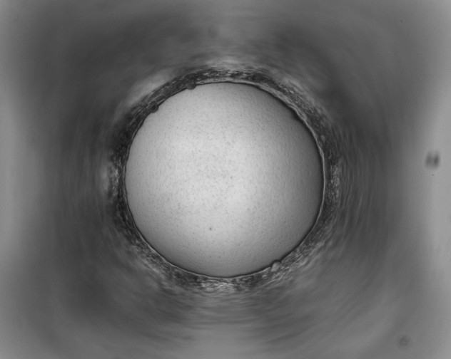 X0000100191302200806131158