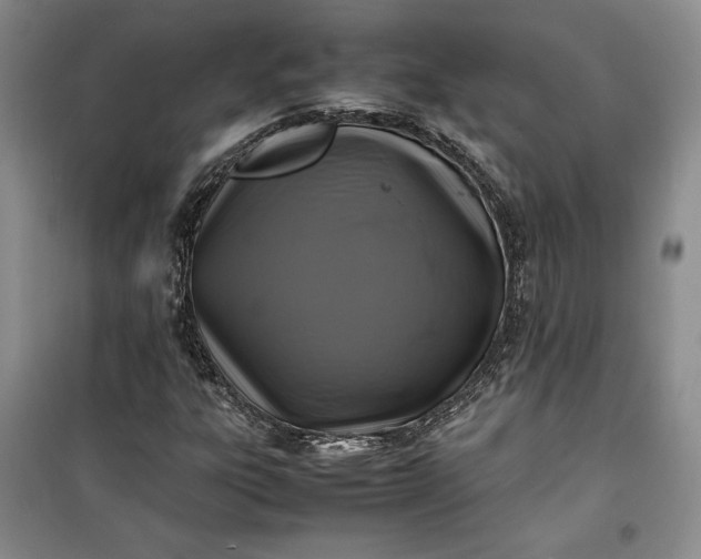 X0000100191303200806131158