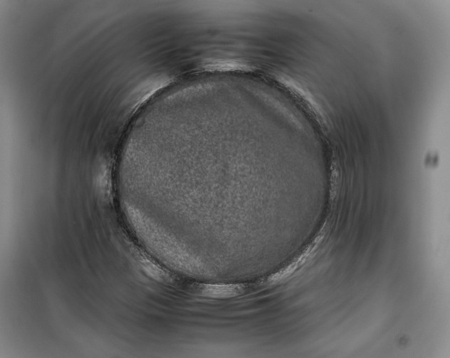 X0000100191305200806131158