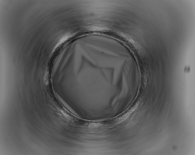 X0000100191306200806131158