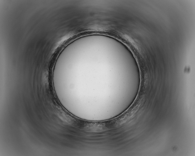 X0000100191307200806131158