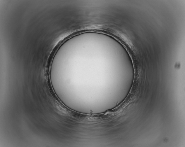 X0000100191308200806131158