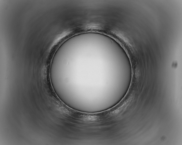 X0000100191309200806131158