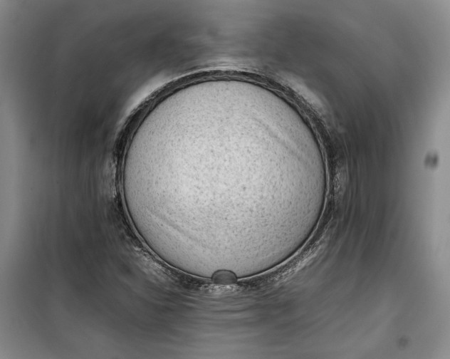 X0000100191310200806131158