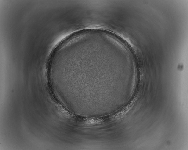 X0000100191311200806131158