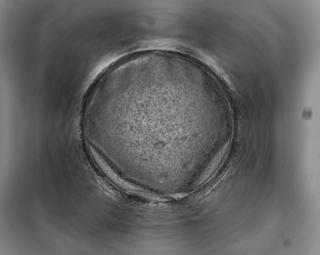 X0000100191312200806131158