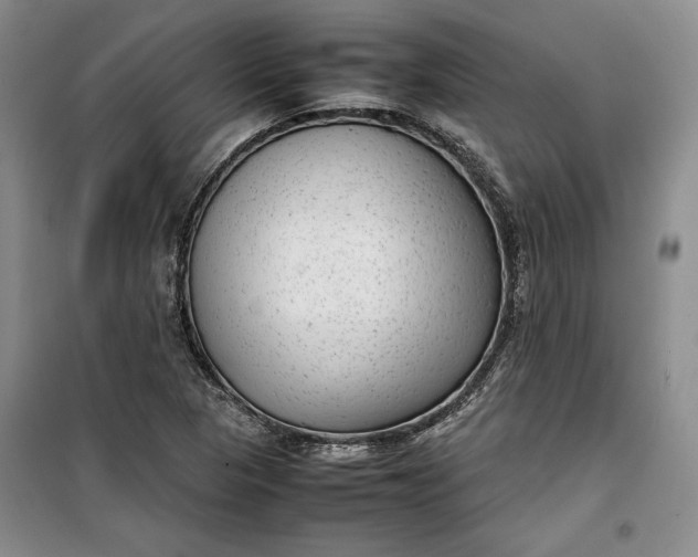 X0000100191313200806131158