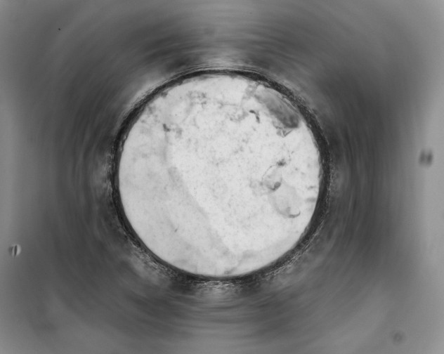 X0000100191314200806131158