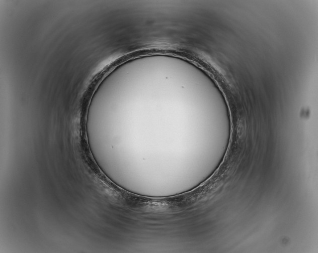 X0000100191315200806131158