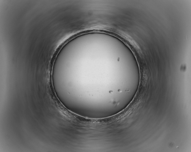 X0000100191316200806131158