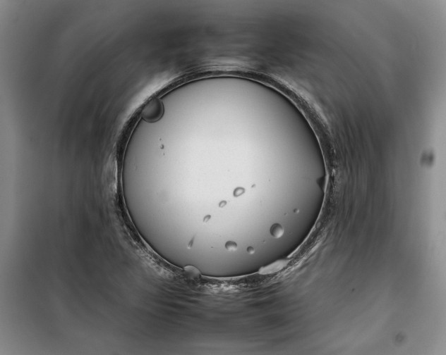 X0000100191317200806131158