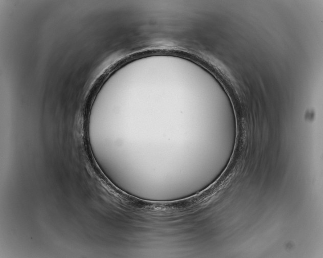 X0000100191318200806131158