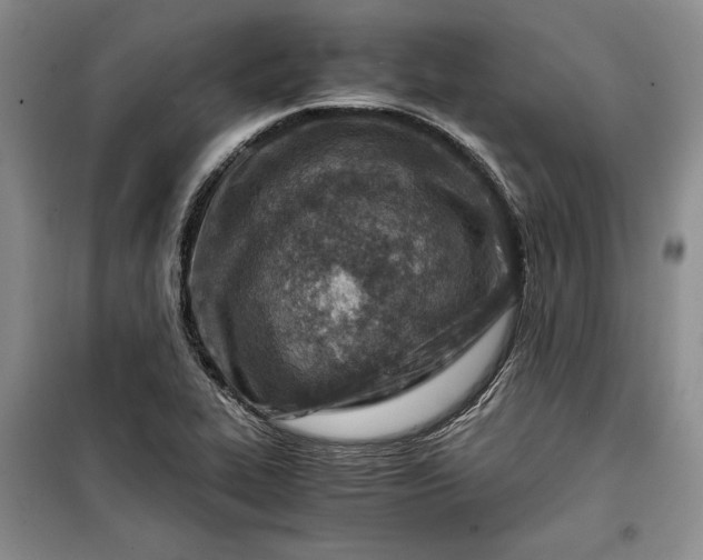 X0000100191319200806131158