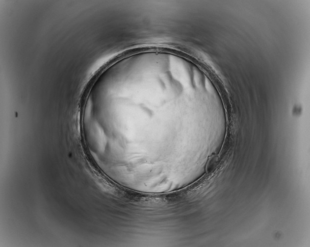 X0000100191320200806131158