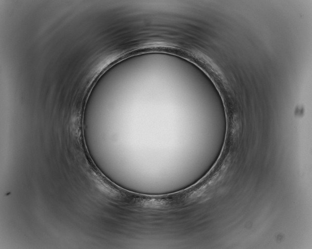 X0000100191321200806131158