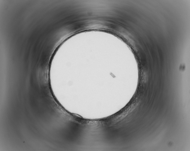 X0000100191322200806131158