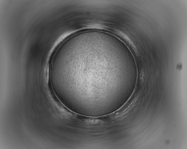 X0000100191323200806131158